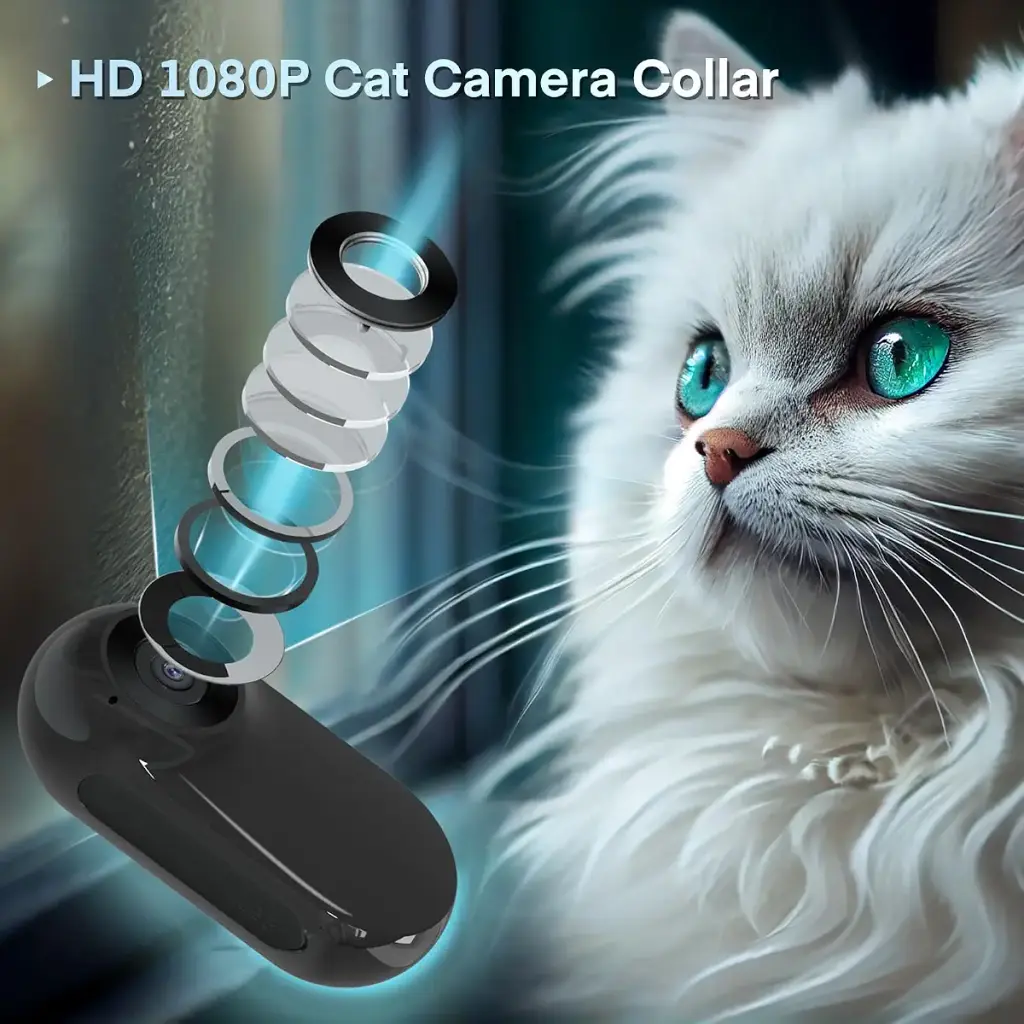 TwoWin Cat Camera Collar HD 1080P Wireless Dog Collar Camera with 8GB SD Card Sport — TwoWin