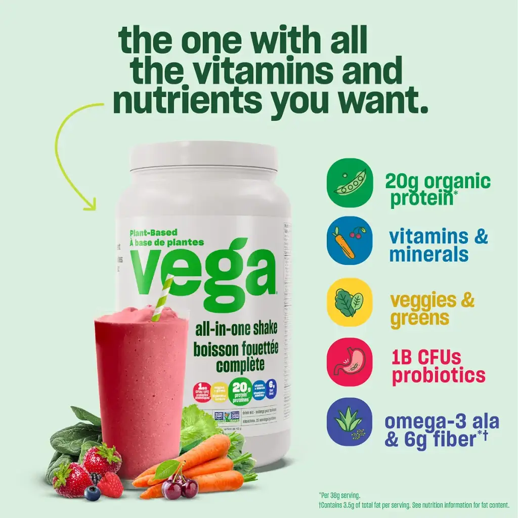 Vega All-in-One Vegan Protein Powder Chocolate (10 Servings) Superfood Ingredients — Vitamins
