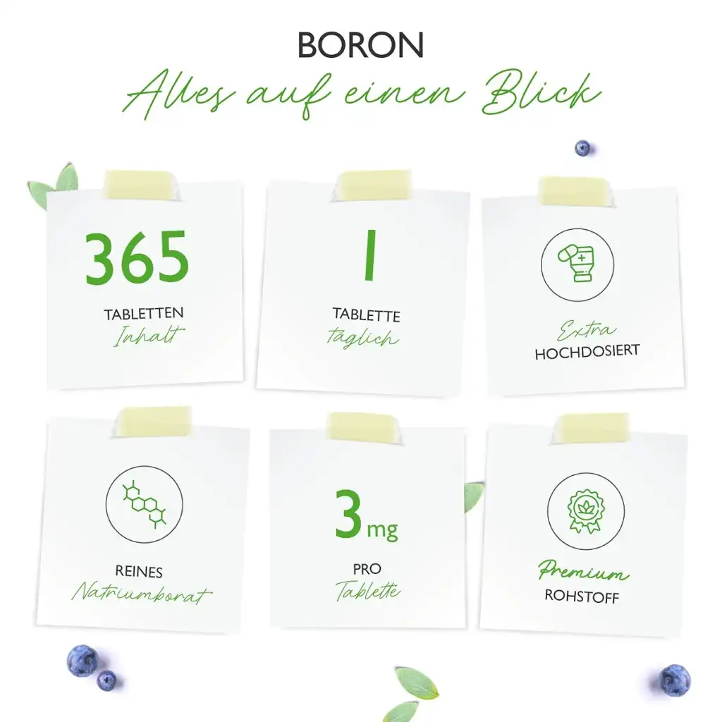 Vit4ever Boron - 3 mg pure boron per tablet - 365 tablets in the annual supply — Vit4ever