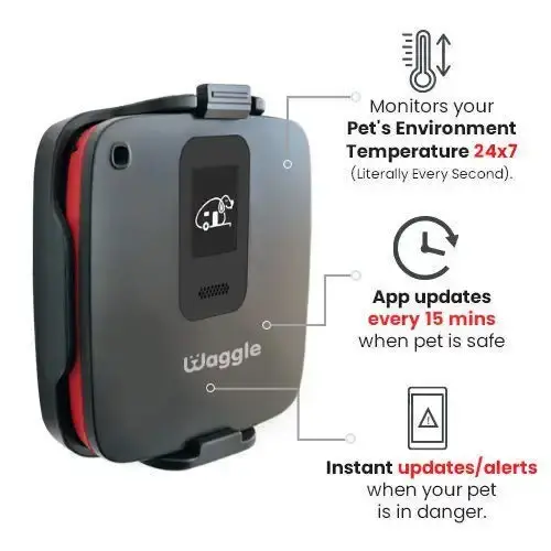 Waggle RV/Dog Safety Temperature & Humidity Sensor | Wireless Pet monitoring system — Waggle