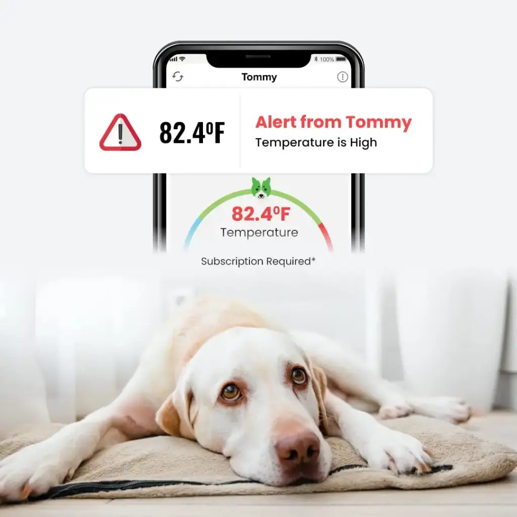 Waggle RV/Dog Safety Temperature & Humidity Sensor | Wireless Pet monitoring system — Waggle