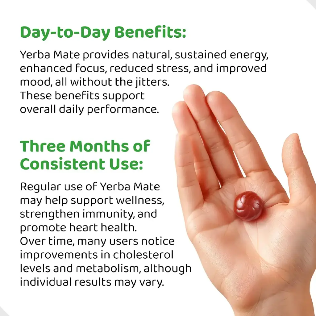 Yerba Mate Gummies Yuzu & Ginger - Made with Real Unroasted Yerba Mate. Free from Added — Gummies